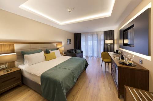 Endless Art Hotel to istanbul airport transfer