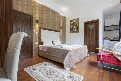 Violin Rooms to istanbul airport transfer