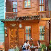 Wonder Wood Hotel to istanbul airport transfer
